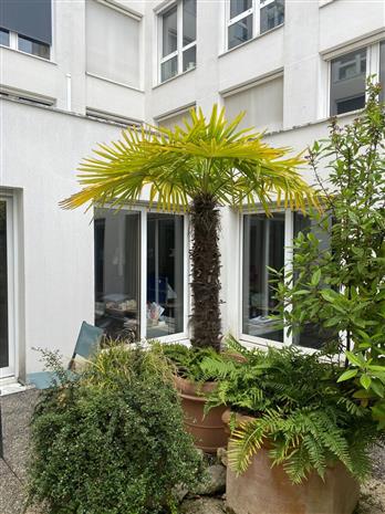 Bureau Vente 44000 NANTES
