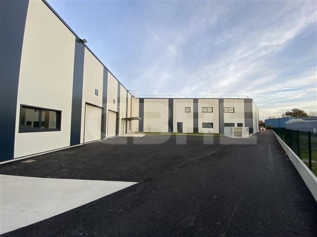 Local d'activités Vente 33290 BLANQUEFORT 8 RUE CHARLES NUNGESSER