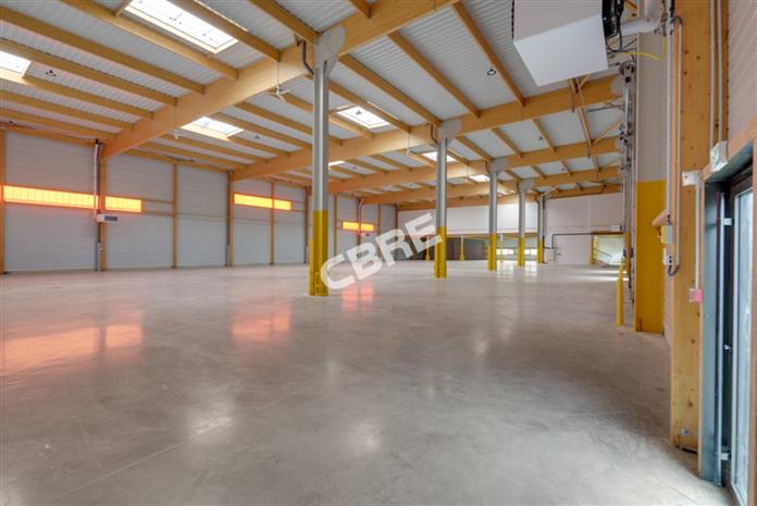 Local d'activités Location 77170 BRIE COMTE ROBERT