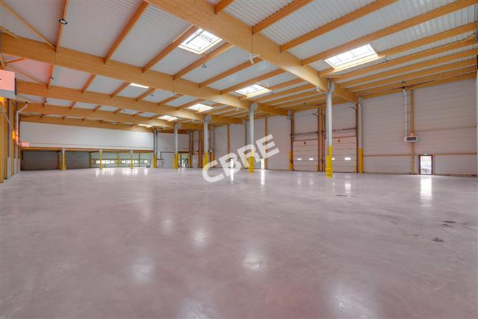 Local d'activités Location 77170 BRIE COMTE ROBERT