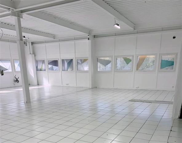 Local d'activités Vente 92390 VILLENEUVE LA GARENNE