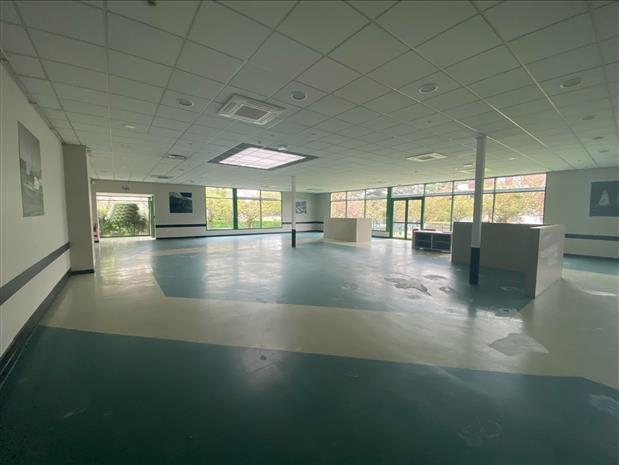 Local d'activités Location 91120 PALAISEAU