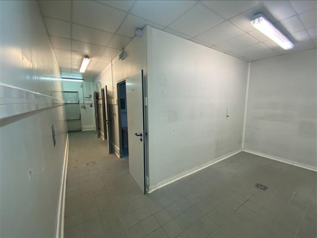 Local d'activités Location 91120 PALAISEAU