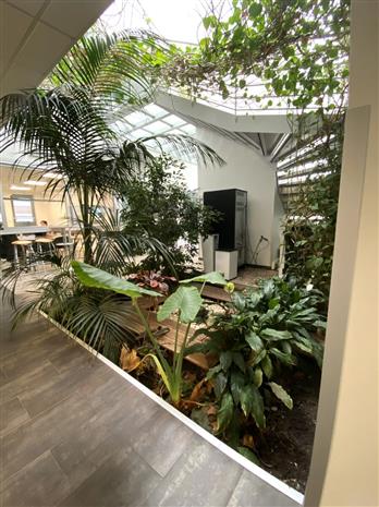 Bureau Location 31130 BALMA