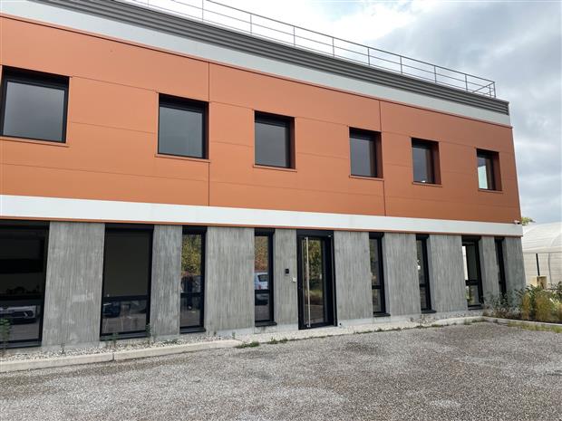 Local d'activités Vente 69330 MEYZIEU