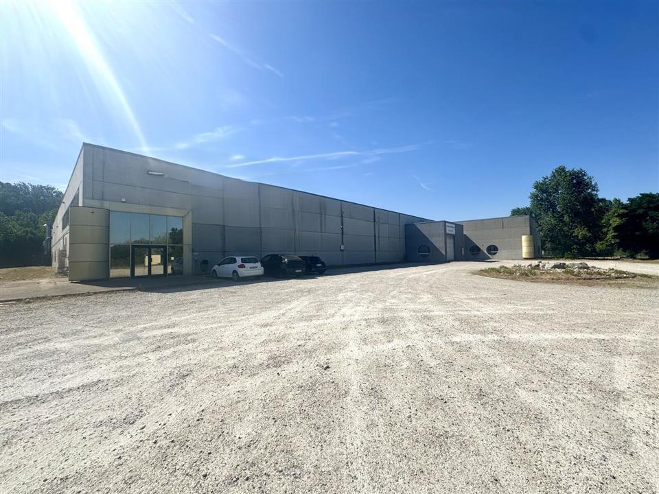 Local d'activités Vente/Location 42520 ST PIERRE DE BOEUF
