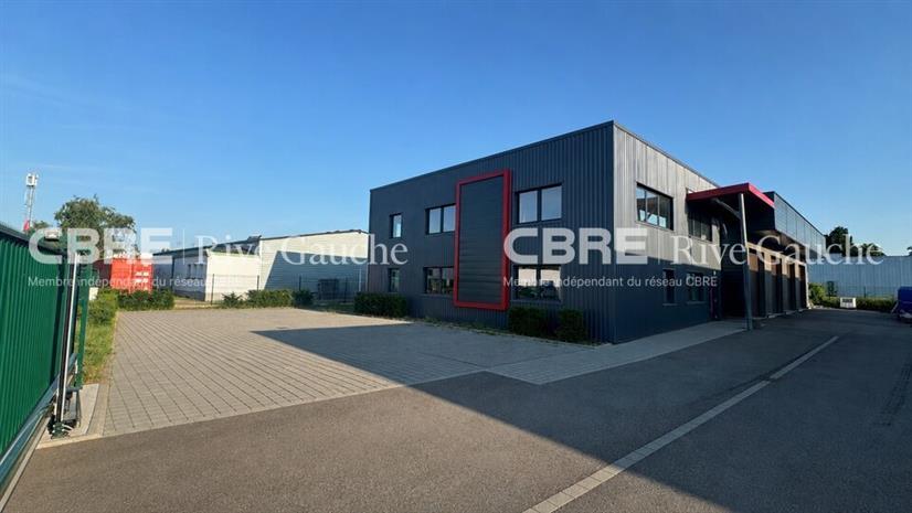 Local d'activités Location 67450 MUNDOLSHEIM