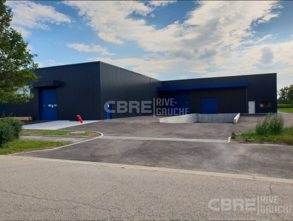 Entrepôt / Local d'activités Location 67850 HERRLISHEIM