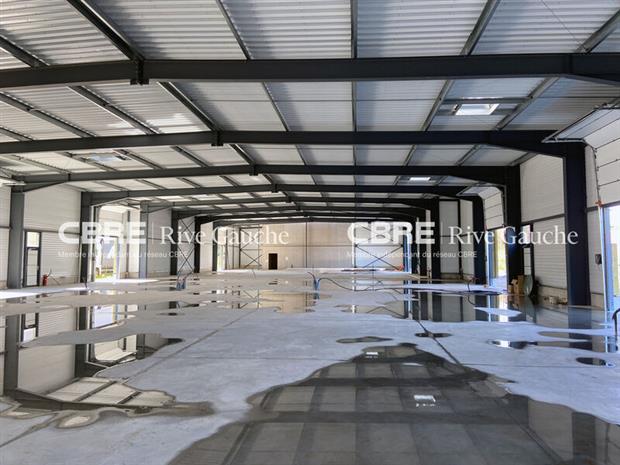 Local d'activités Location 67116 REICHSTETT