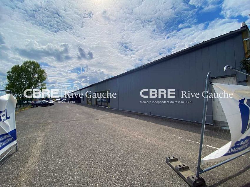 Local d'activités Vente 67120 DUTTLENHEIM