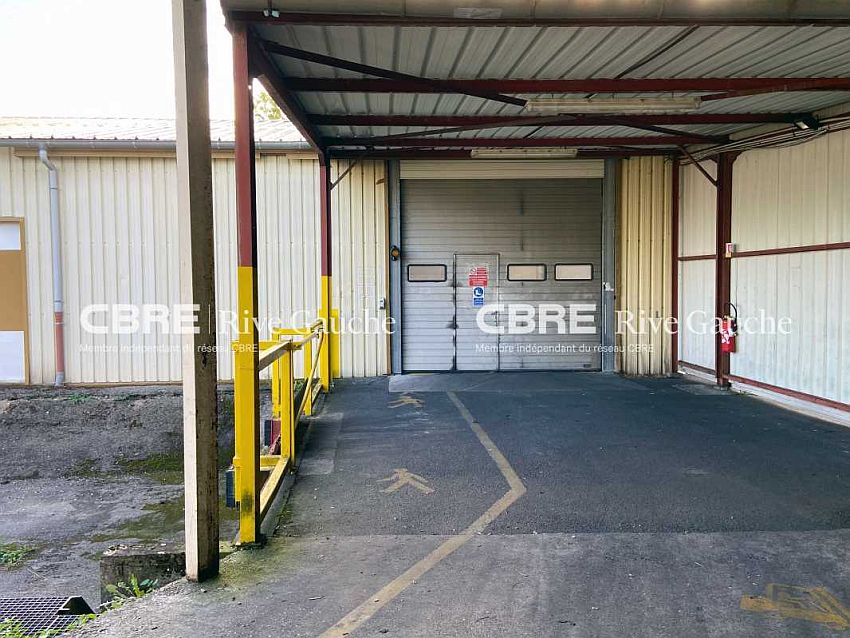 Local d'activités Vente 67120 DUTTLENHEIM