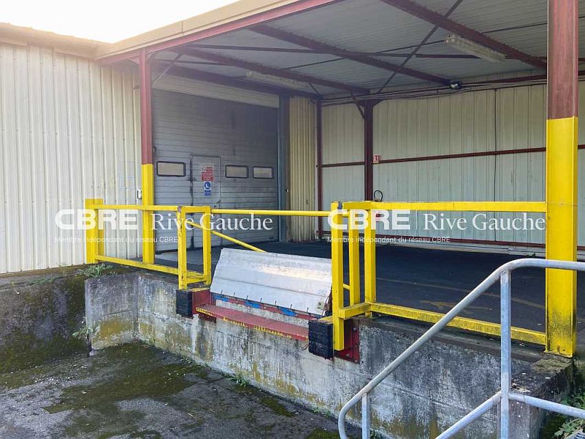 Local d'activités Vente 67120 DUTTLENHEIM