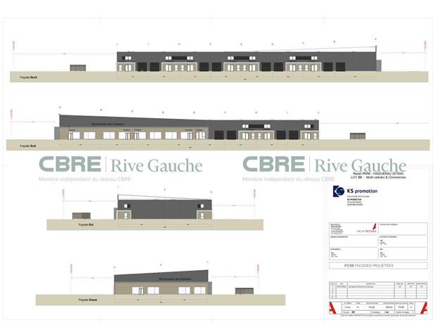 Local d'activités Location 67500 HAGUENAU