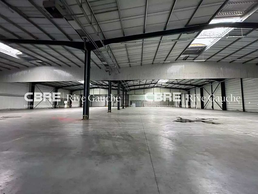 Local d'activités Location 67118 GEISPOLSHEIM 17 ROUTE FORLEN