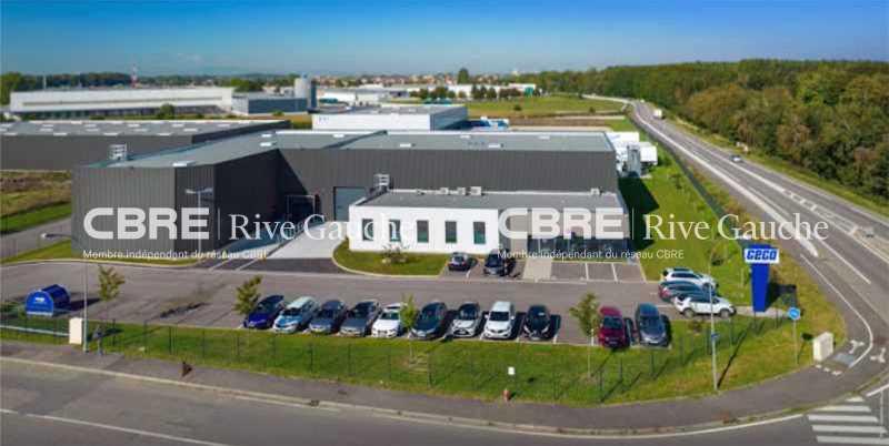 Entrepôt / Local d'activités Vente 67116 REICHSTETT 2A RUE DE L'EMBRANCHEMENT