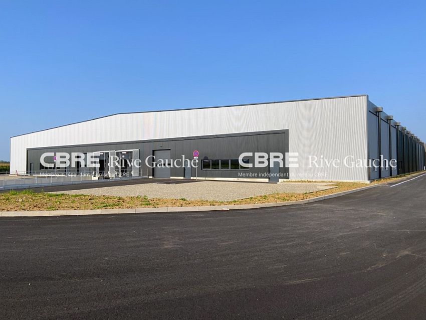 Entrepôt / Local d'activités Location 67640 FEGERSHEIM