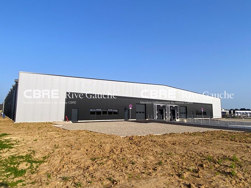 Entrepôt / Local d'activités Location 67640 FEGERSHEIM
