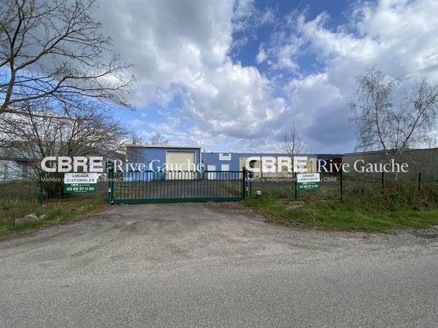 Local d'activités Vente 67730 CHATENOIS 5 RUE DES MOULINS
