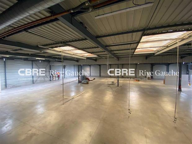 Local d'activités Location 67400 ILLKIRCH GRAFFENSTADEN 9 RTE D'ESCHAU