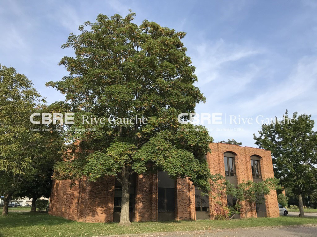Bureau Location 67380 LINGOLSHEIM
