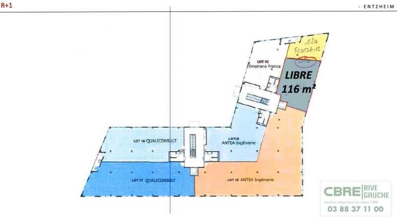 Bureau Location 67960 ENTZHEIM 2 RUE DES HERONS