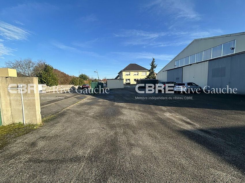 Local d'activités Location 67640 FEGERSHEIM