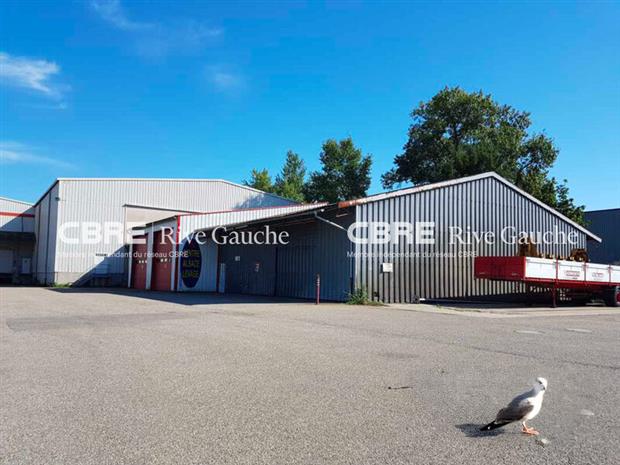 Chargement de l'image...