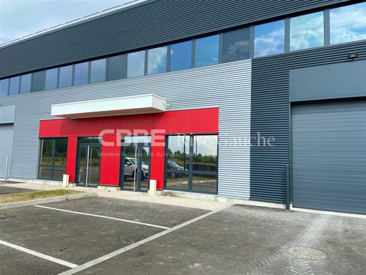 Local d'activités Location 67170 BERNOLSHEIM