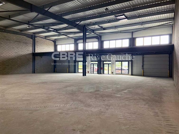 Local d'activités Location 67170 BERNOLSHEIM
