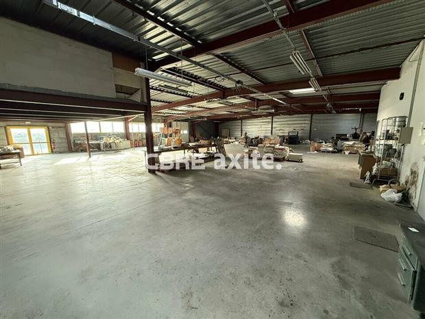 Local d'activités Vente 73230 SAINT-ALBAN-LEYSSE