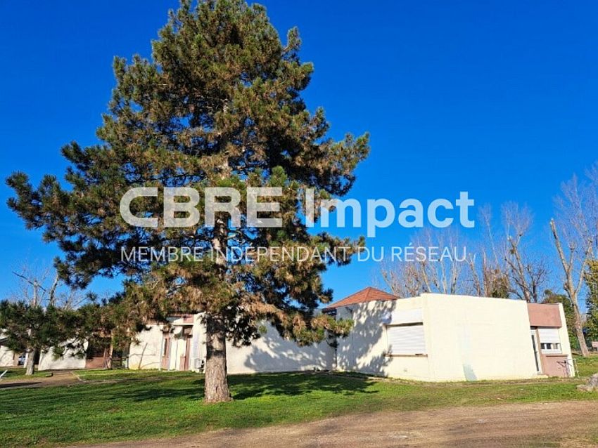 Chargement de l'image...