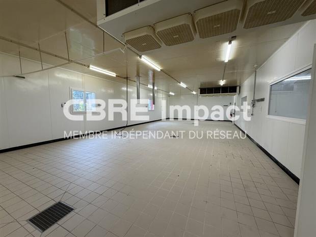 Local d'activités Location 21850 SAINT-APOLLINAIRE