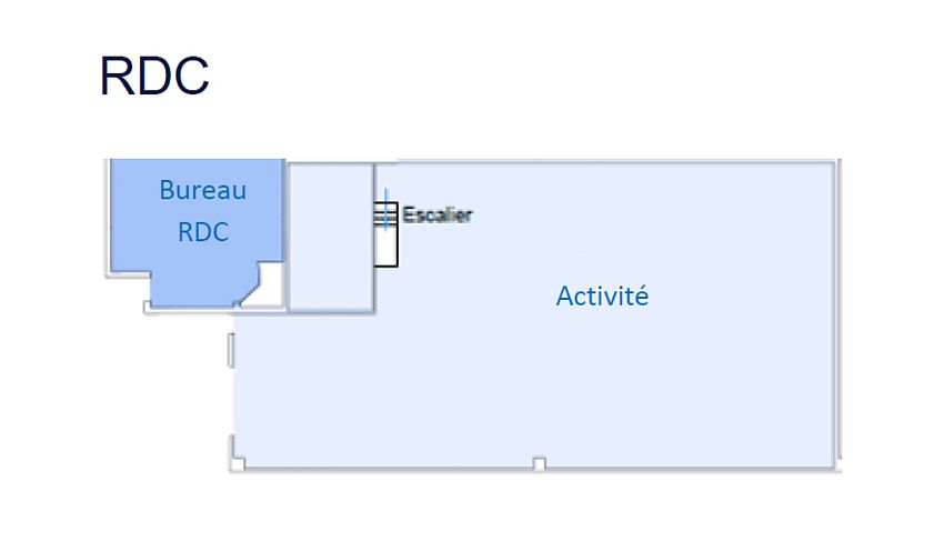Local d'activités Location 69150 DECINES CHARPIEU