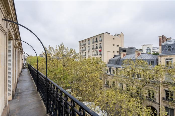 Chargement de l'image...