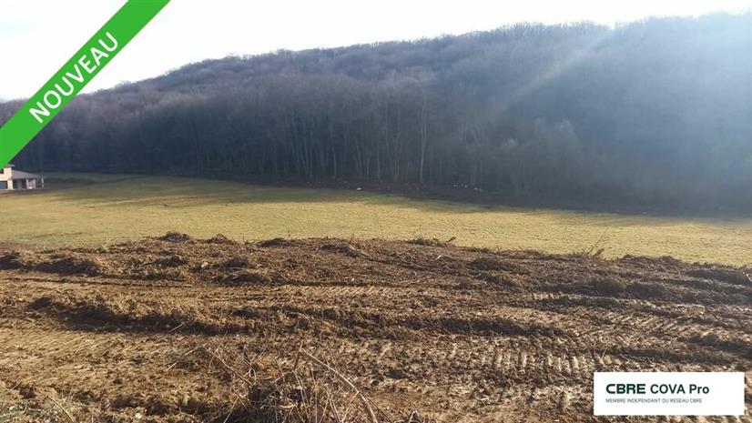 Terrain Vente 25870 CHATILLON LE DUC