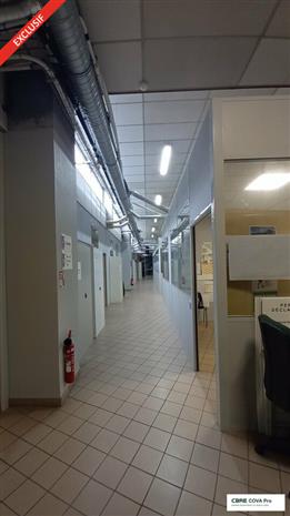 Local d'activités Vente 39100 DOLE