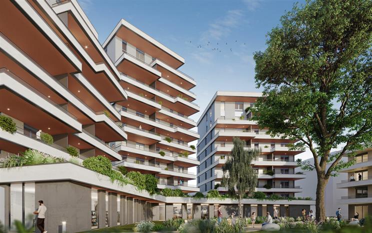 Chargement de l'image...