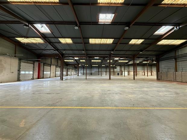 Entrepôt / Local d'activités Location 68480 ROPPENTZWILLER