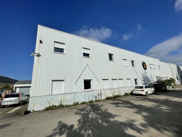 Local d'activités Vente 68500 ISSENHEIM