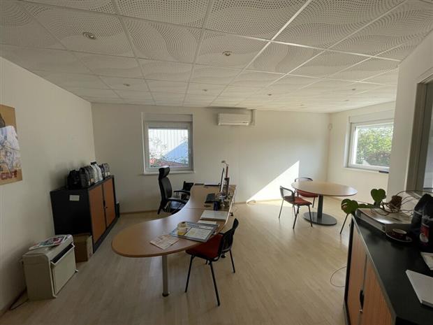 Local d'activités Vente 68500 ISSENHEIM