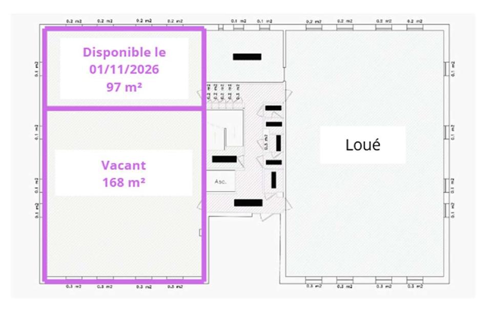 Bureau Location 69100 VILLEURBANNE 26 RUE EMILE DECORPS