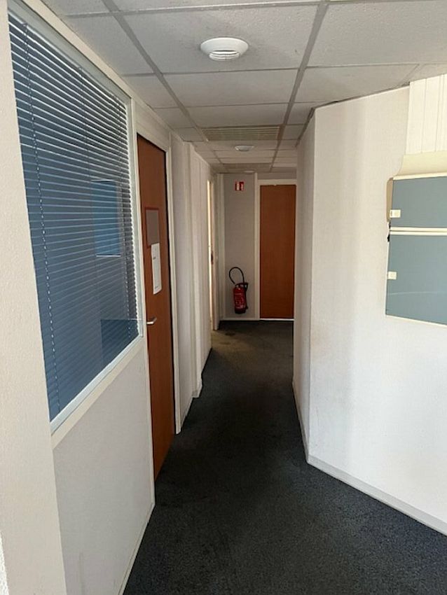 Chargement de l'image...