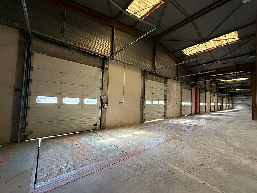 Entrepôt / Local d'activités Location 68480 ROPPENTZWILLER