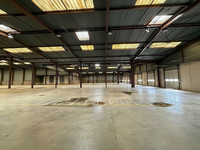 Entrepôt / Local d'activités Location 68480 ROPPENTZWILLER
