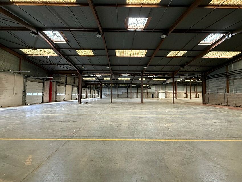 Entrepôt / Local d'activités Location 68480 ROPPENTZWILLER