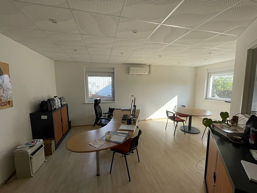 Local d'activités Vente 68500 ISSENHEIM