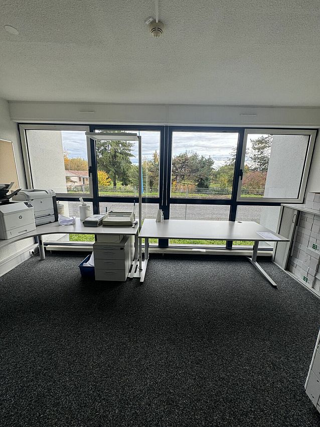 Local d'activités Vente 68128 VILLAGE NEUF