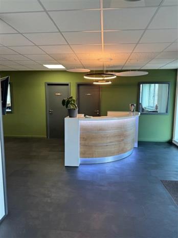 Local d'activités Vente 68310 WITTELSHEIM