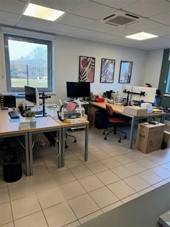 Local d'activités Vente 68310 WITTELSHEIM
