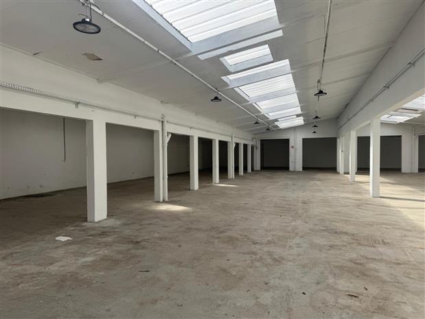 Local d'activités Location 69100 VILLEURBANNE